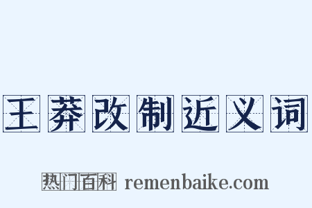 王莽改制近义词是什么意思的图片